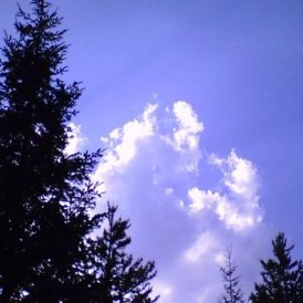 Where The Warm Wind Blows Image